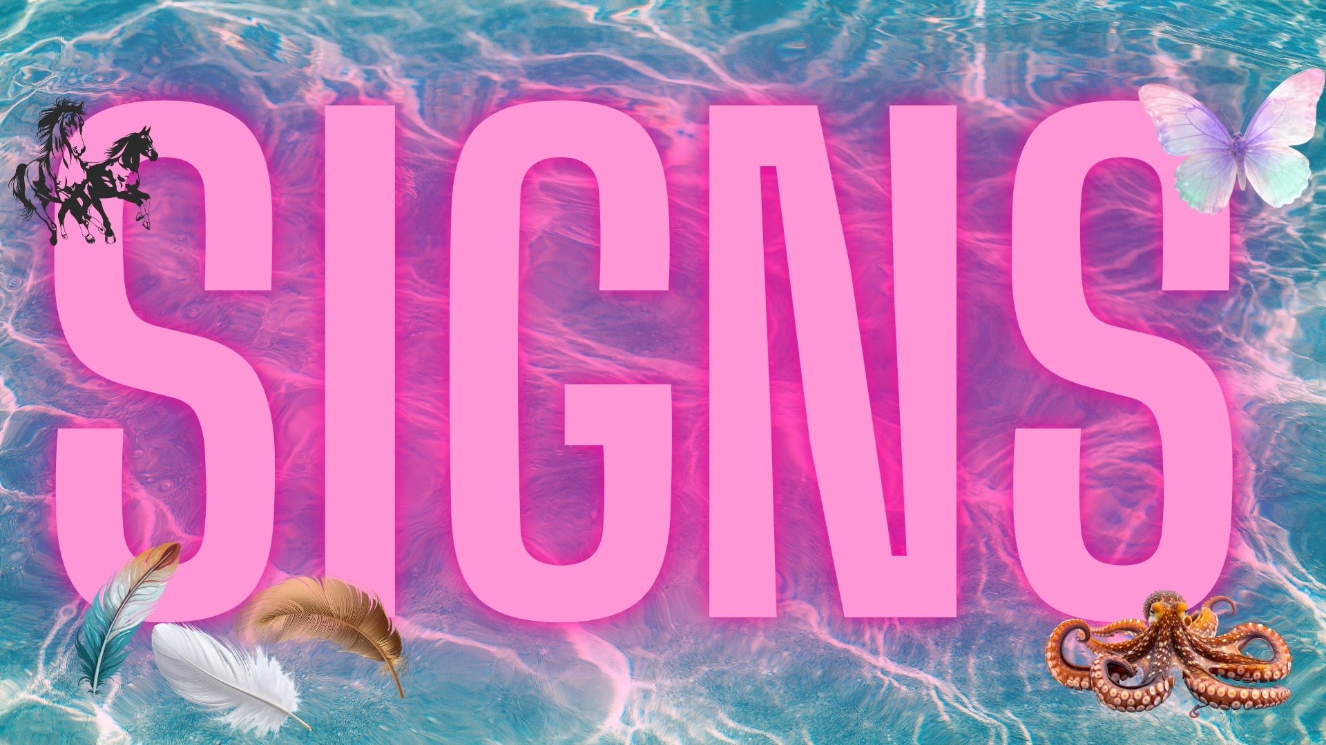 Signs: How to ask for them...