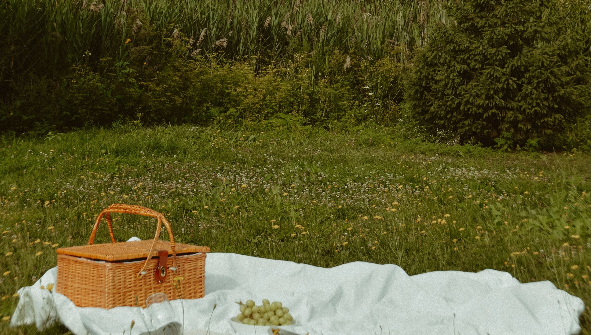 The life rules that brought me back to joy