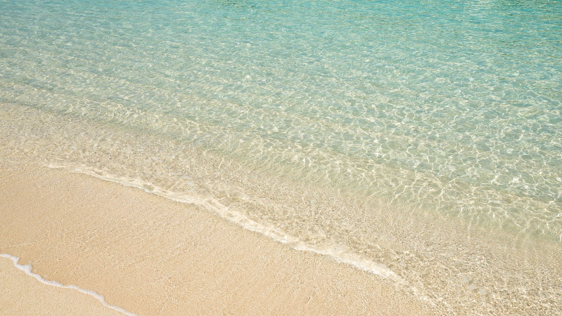Check in with your emotions: a daily practice for emotional awareness
